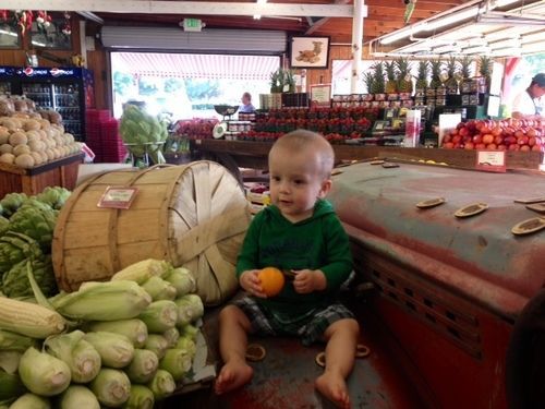 Casa De Fruta Inn هوليستير المظهر الخارجي الصورة